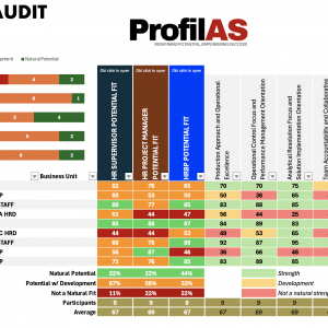 Team Audit