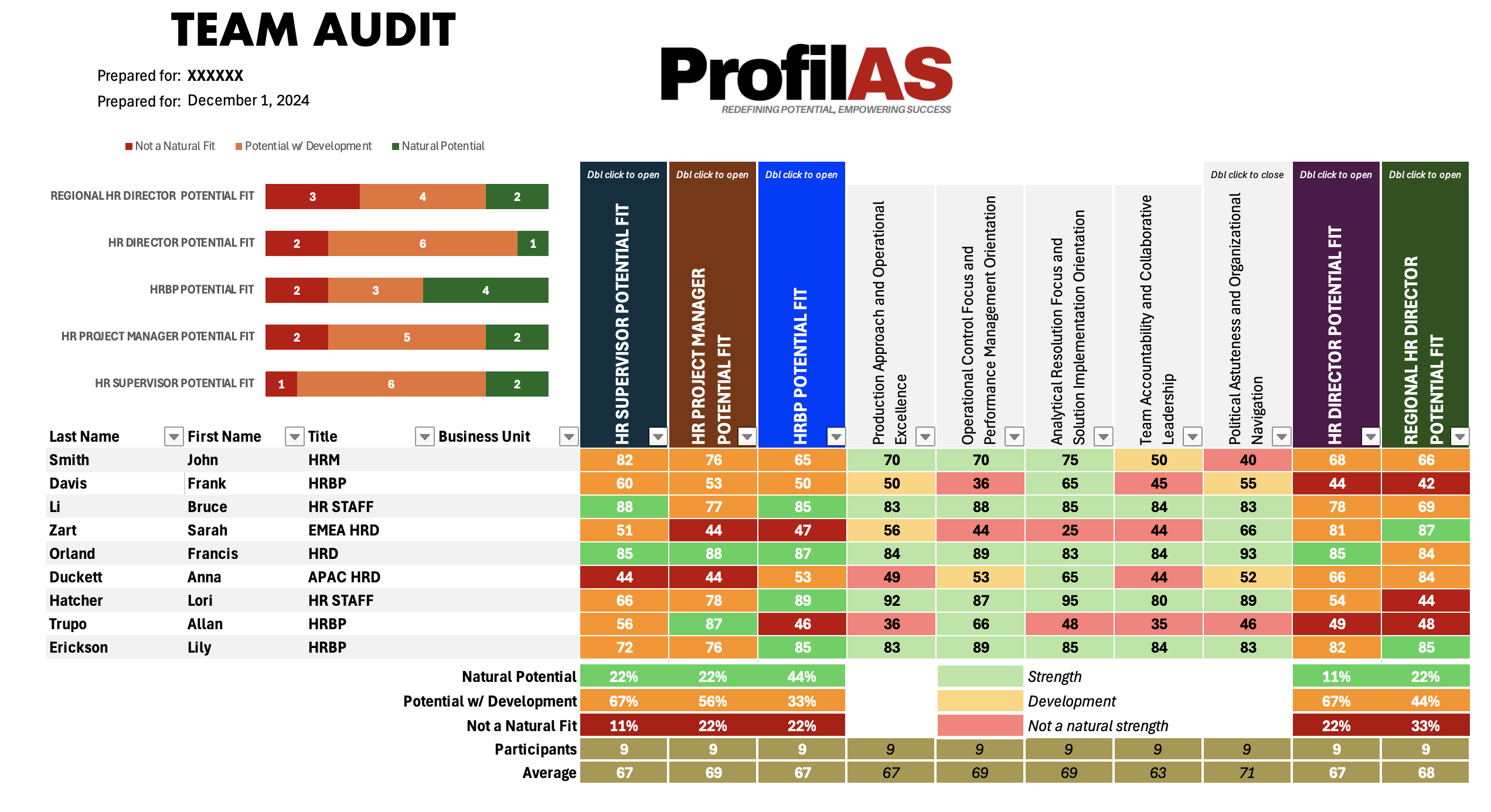 Team Audit