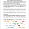 Work Pattern & Performance Dynamics Analysis
